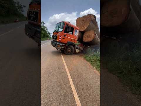 THE LOAD IS TOO MUCH #shorts #truck