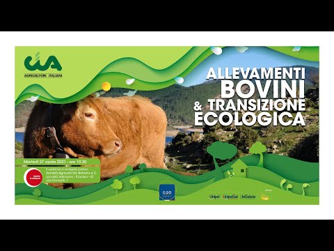 , title : 'Allevamenti bovini e transizione ecologica'