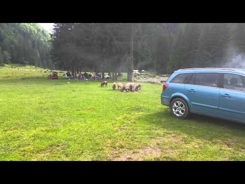 Pe Raul Valsan....la Gratar