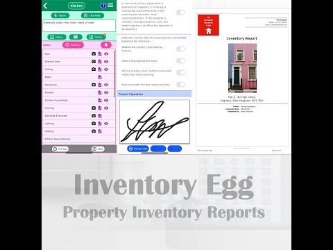 Inventory Egg