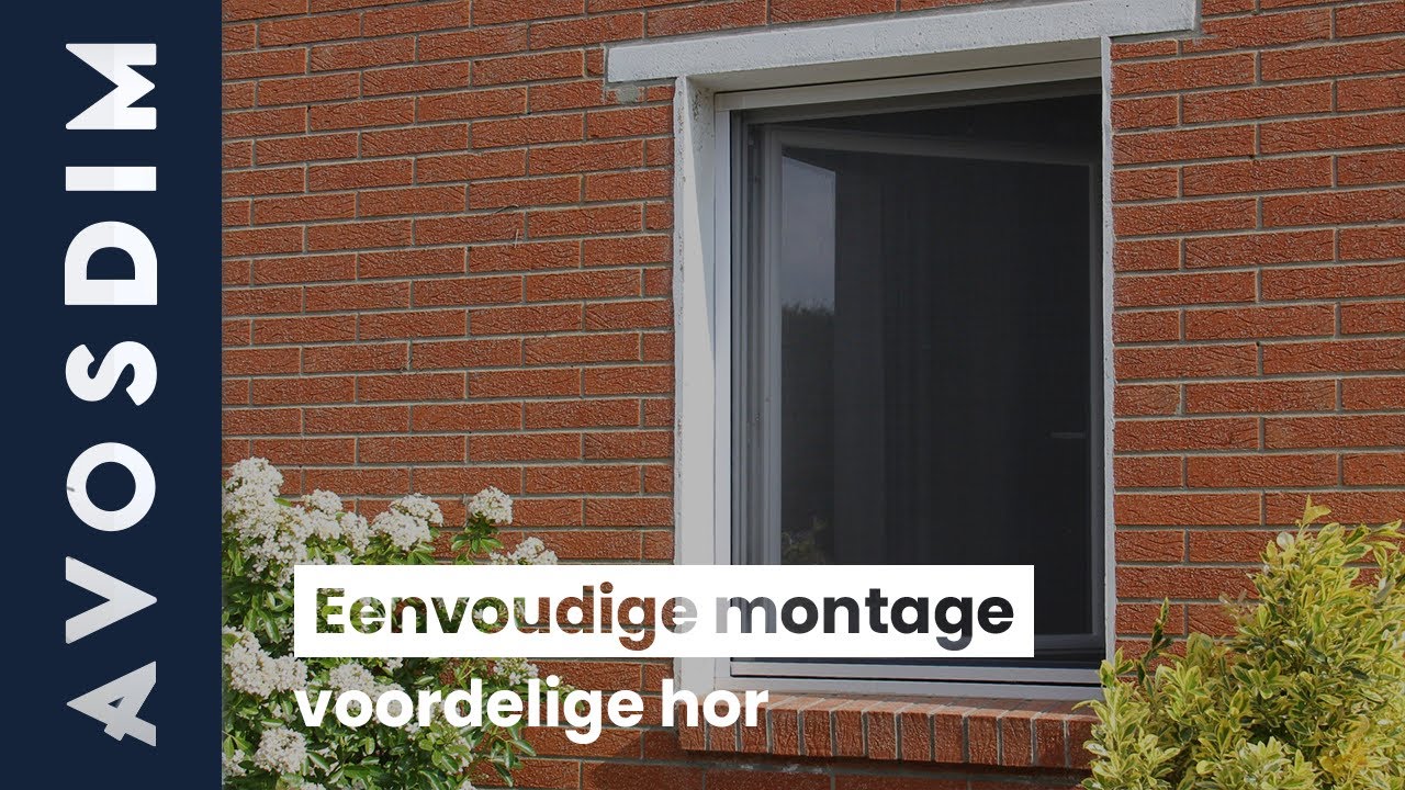 Hoe kies je de ideale hor voor je raam?