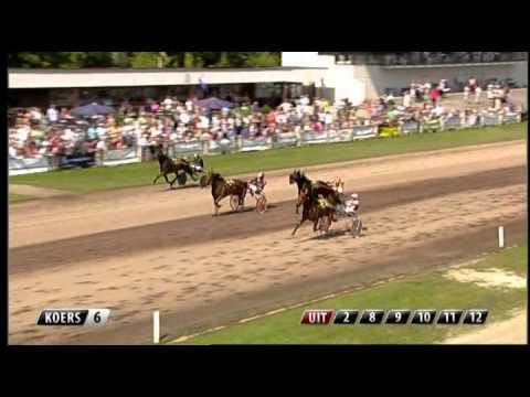 2013 Sweepstakes D - Dacey Boko (Frank Crebas) & Davy Boko (Hugo Langeweg Jr.)