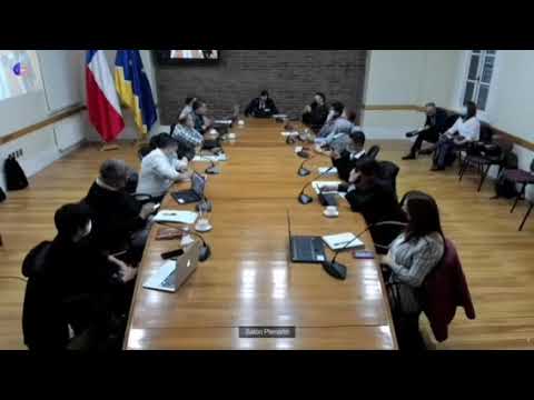 Necesidad de Brigada de Bomberos en Timaukel | Sesión N°12 Core Magallanes | Bomberos Punta Arenas