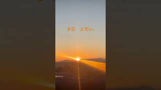 夕日 エモい、 #歌ってみた