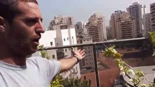 קשירת צמחים מטפסים