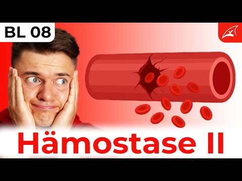 Gerinnungskaskade und sekundäre Hämostase🩸 (Blutgerinnung) - einfach erklärt!