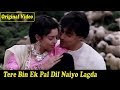 Tere Bin Ek Pal Dil Naiyo Lagda DJ Jhankar