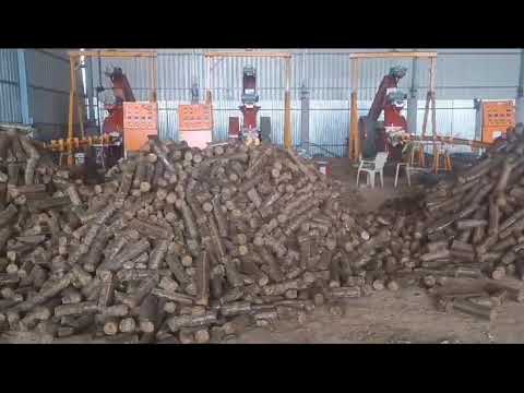 MS Biomass Briquetting Plant