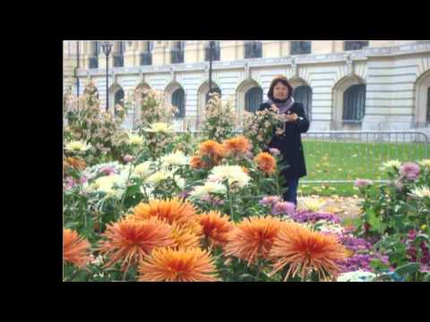 С днём рождения, gabi33 (Галина)!!!