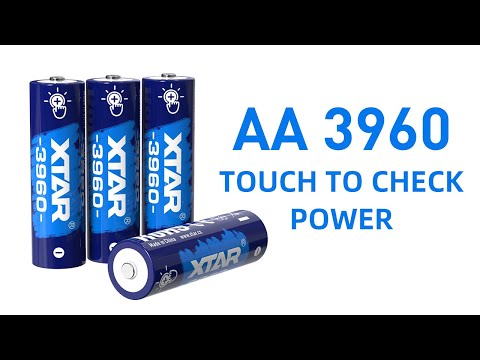 XTAR AA 3960