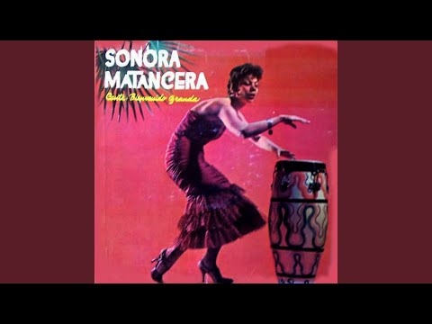 Donde Están los Rumberos