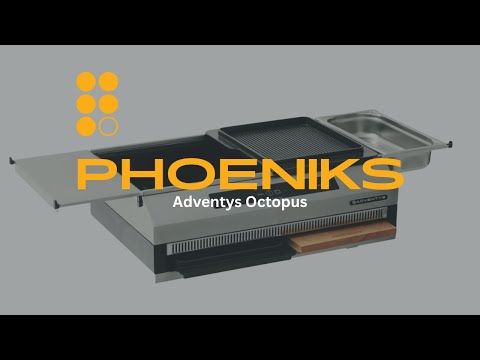 Adventys Octopus | Phoeniks