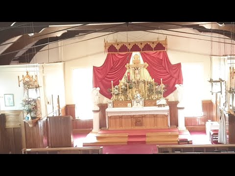 SSPXNZLIVE Livestream - 4 January 2019 High Mass