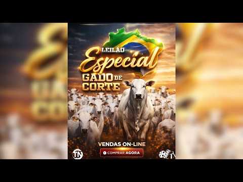 LEILÃO ESPECIAL DE GADO DE CORTE BRASIL LEILÕES  PORANGATU - GO  23/02/2025