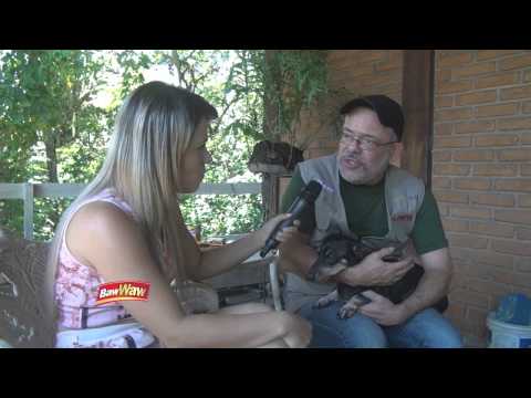 Programa da Flavinha Cheirosa VTV- SBT 17/01/15