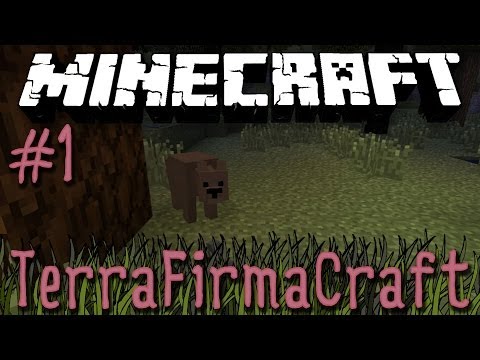 Minecraft: TerraFirmaCraft - Episode 1