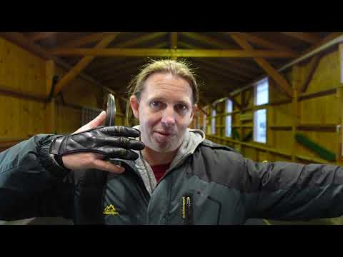 Blankschafttest: Durchführung, Aussagekraft, Wichtigkeit, Korrekturmöglichkeiten...