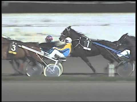 Trotto 01/02/2015 - 8° Corsa