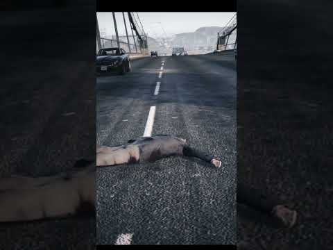 GTA 5 Wasted Compilation pt.84