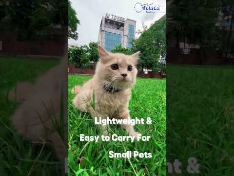 Wireless gps pet belt tracker g101 live tracking, geo-fence,...