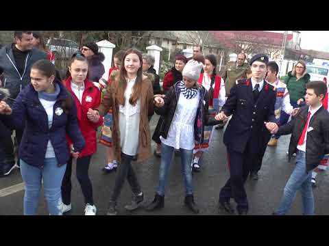 1  DECEMBRIE  2017  COM     NICOLAE   BALCESCU  JUD  CONSTANTA