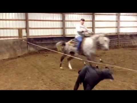 9 yr old OWN DAUGHTER OF WIMPYS LITTLE STEP.