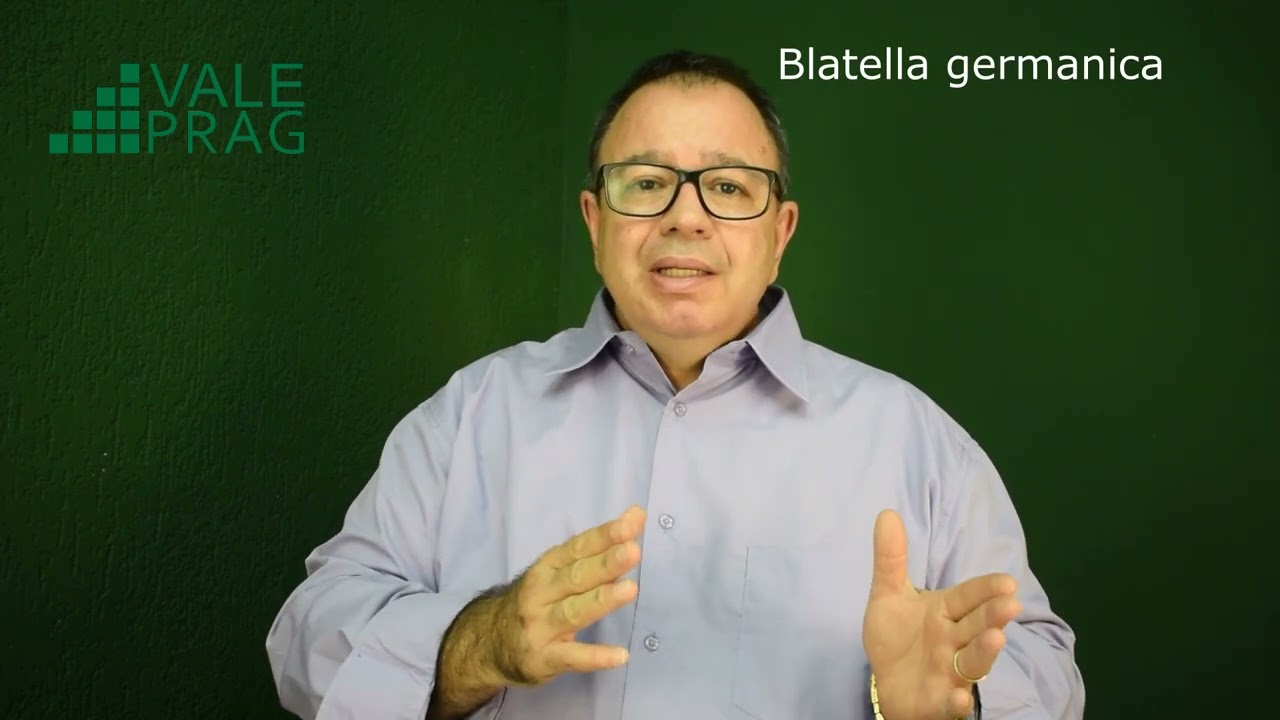 Dedetização em São José dos Campos