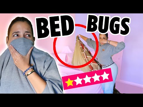 I WENT TO THE WORST REVIEWED HOTEL ON YELP IN MY CITY – THEY HAD BED BUGS! | Mar Video