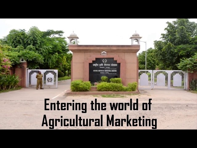 National Institute of Agricultural Marketing video #1