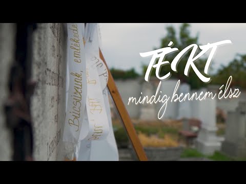 TÉKT - Mindig Bennem Élsz (Official Music Video) /Missing You Cover/