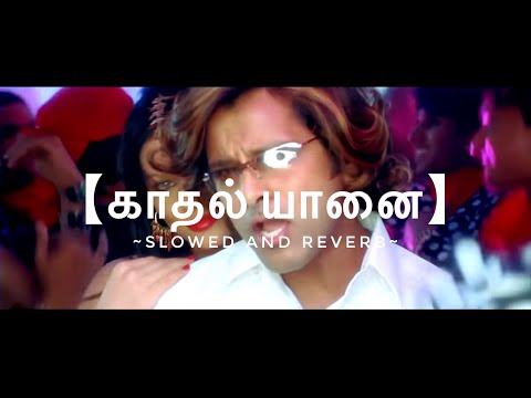 Kadhal Yaanai || Slowed to Perfection❤️