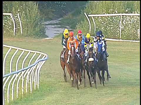 Galoppo 15/07/2017 - 1ª corsa