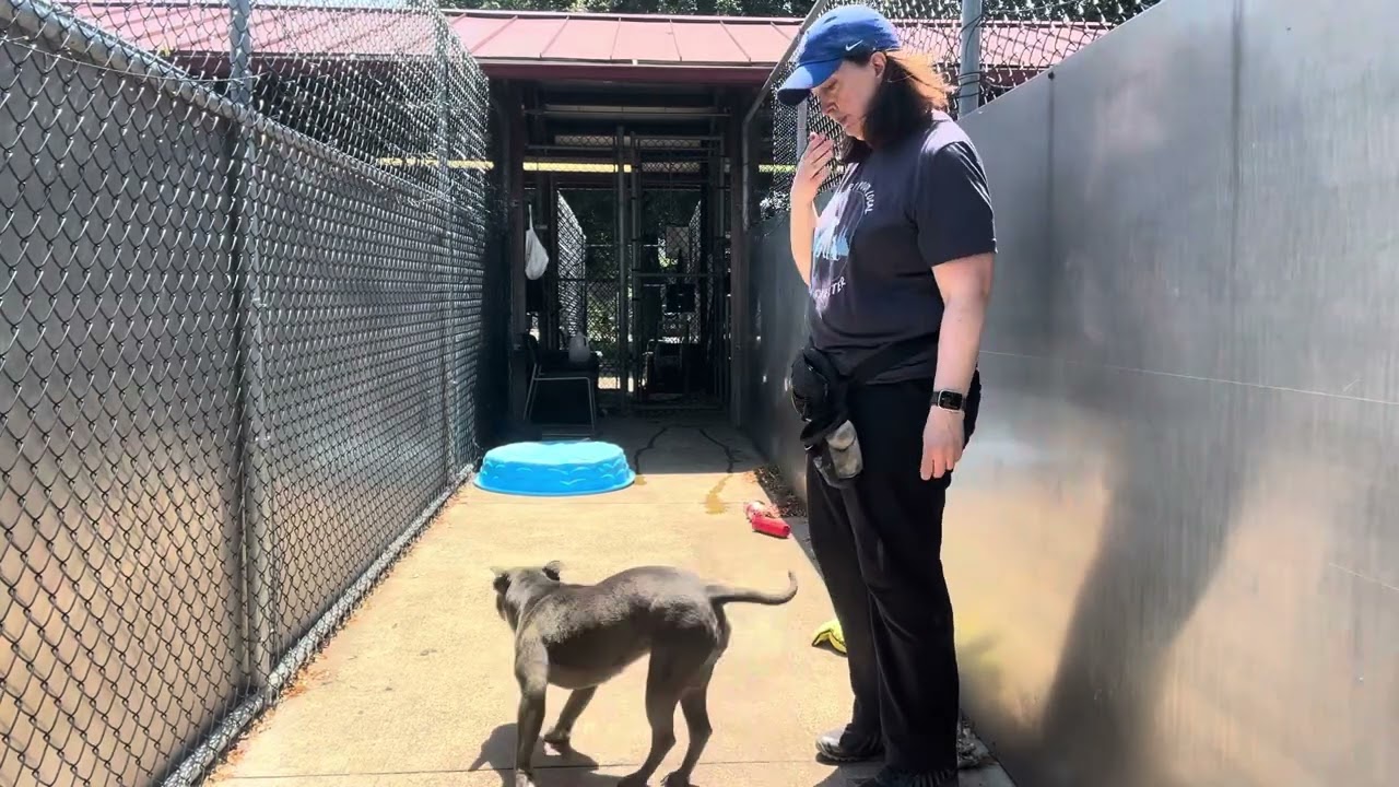 A316922 video preview