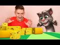 My Talking Tom In Real Life Part 5 Real Cat Compilation