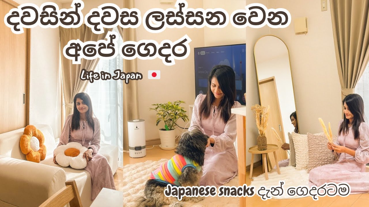 LIFE IN JAPAN 🇯🇵 | දවසින් දවස ලස්සන වෙන අපේ ගෙදර | Japanese Snacks දැන් ගෙදරටම ගෙන්න ගන්න