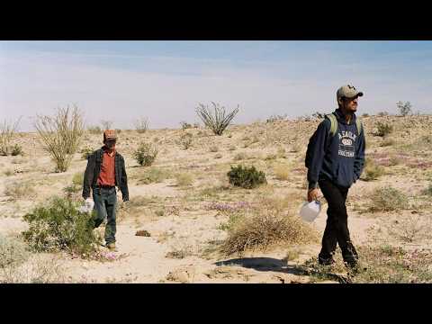 “La Frontera Está Cabrona… Pero Mis Sueños También”   Tema: No me voy a rendir