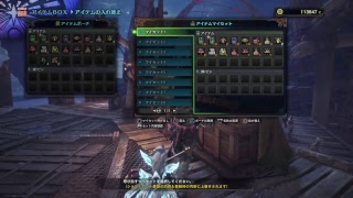 #18 [MHW]ソロでHRあげていっきましょ！！