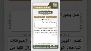 صورة 5994 - حكم أكل لحم الوبر - نور على الدرب