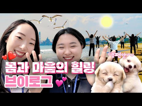 ▶공무원 VLOG/항시근무중◀ 몸과 마음의 힐링 브이로그 (트라우마센터 기획관리팀)