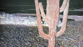 Indian Summer - Indian Summer 1971  (full album)