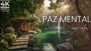 PARE de Se ESTRESSAR AGORA | Música Para Dormir & Eliminar Estresse (4k)