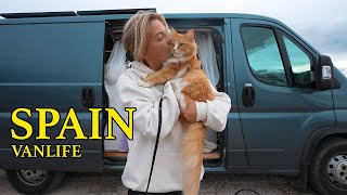 Living Vanlife in Spain with my Cat