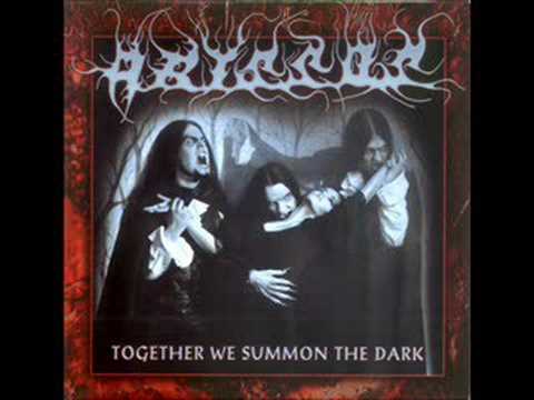 Through The Gloom Into The Fire cover