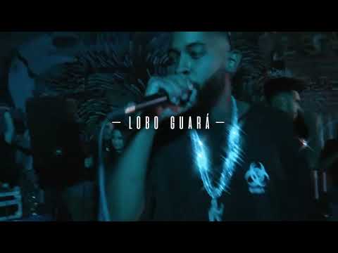 Pretyn - Lobo Guara 🐺