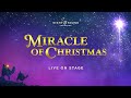 MIRACLE OF CHRISTMAS 2023 | Official Lancaster Trailer | Sight & Sound Theatres®