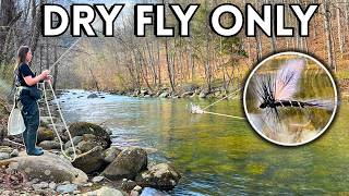 The Most Addictive Way to Fish (Dry Fly Only)