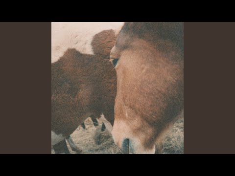 Wild One