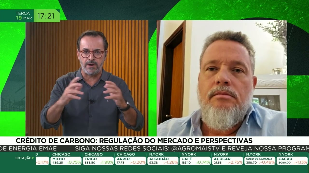 Crédito de carbono: regulação do mercado e perspectivas