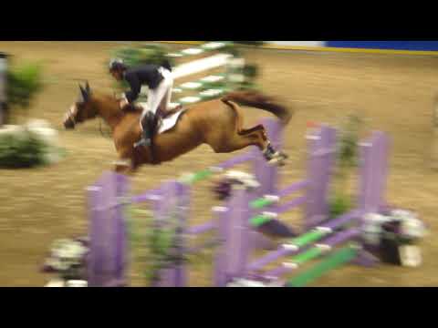 Bethsabee & Keean White $25,000 Jolera Int Jumper Welcome at Royal Winter Fair 2009
