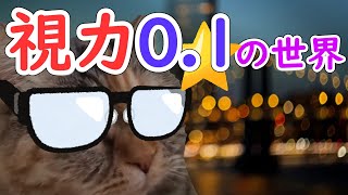 【猫ミーム】小学生で視力0.05になった話【弱視】